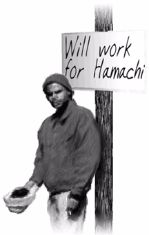 will work for hamachi!
